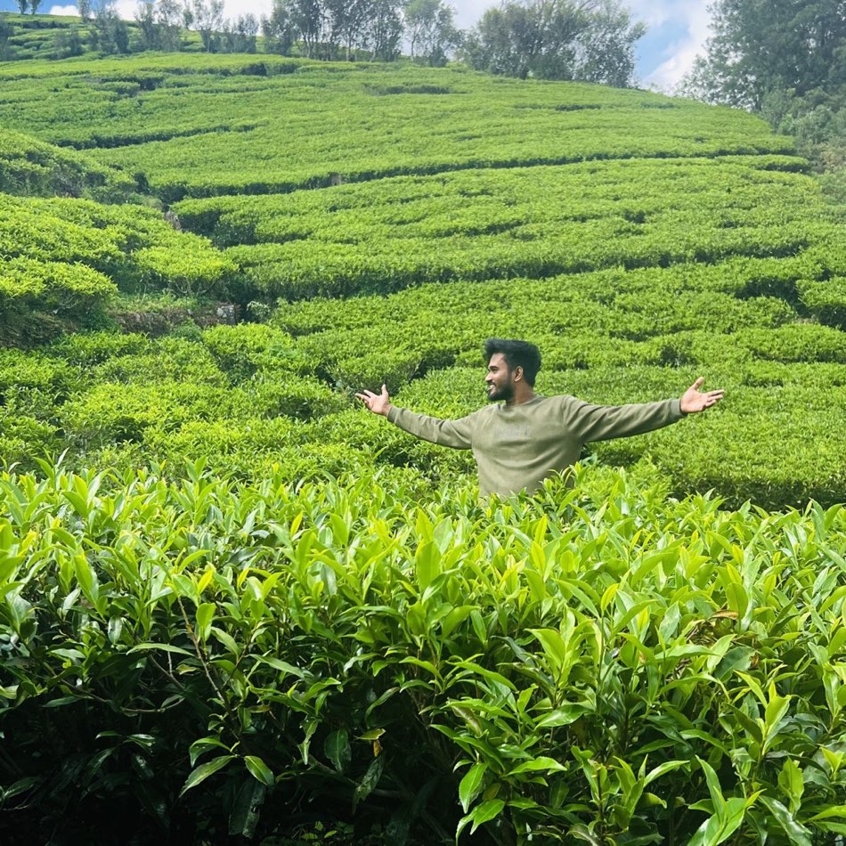 Back home, in Sri Lanka’s tea country